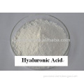 Best Hyaluronic Acid ( Sodium Hyaluronate)/ Food Grde Hyaluronic Acid